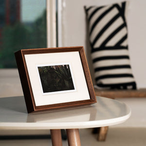 Framed picture on a table with a zebra-striped pillow in the background. Black walnut picture frame. 