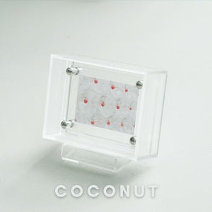 Clear acrylic photo frame with a patterned paper inside on a white background, branded 'COCONUT'.
