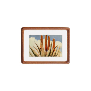 Tenon Series Small Picture Frame – Various | Mortise & Tenon Tabletop Solid Wood Frame