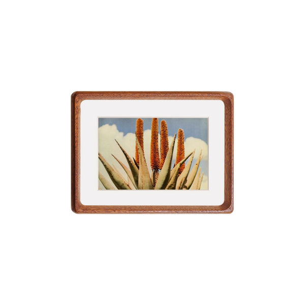 Tenon Series Small Picture Frame – Various | Mortise & Tenon Tabletop Solid Wood Frame