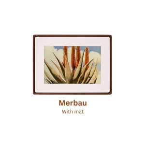 Merbau famed artwork of a plant with 'Merbau' text on a white background, frame with mat