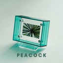 Teal peacock acrylic picture frame with plant leaf feather pattern on a light gray background