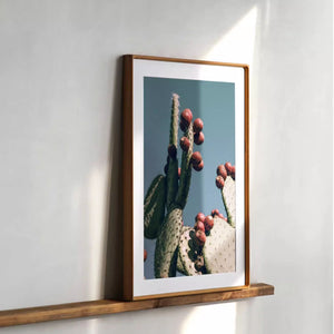 Teak wood framed photograph of a cactus with red fruits on a white wall.