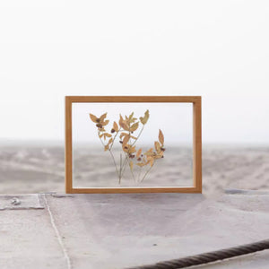 Teak wood-framed artwork of a plant on a textured surface with a blurred background