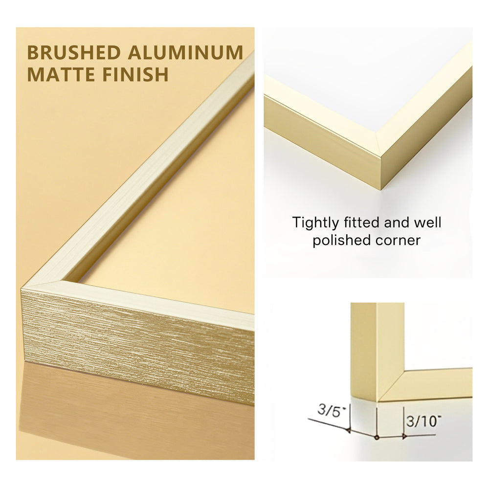 ONE MAAY brushed aluminum picture frame with matte finish featuring precision-fitted corners and quality construction, suitable for landscape and portrait orientation wall art and photo display